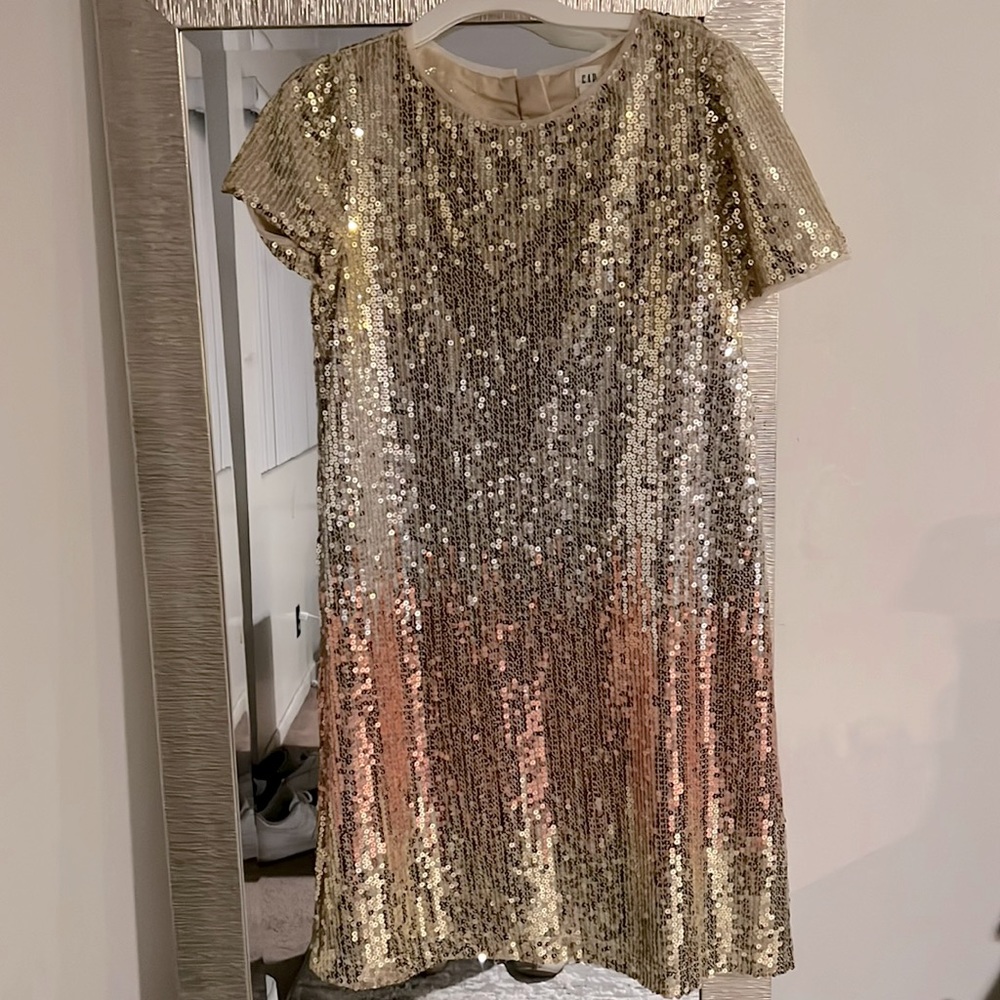 Gap Big Girls party/holiday dress. Size XXL/16
